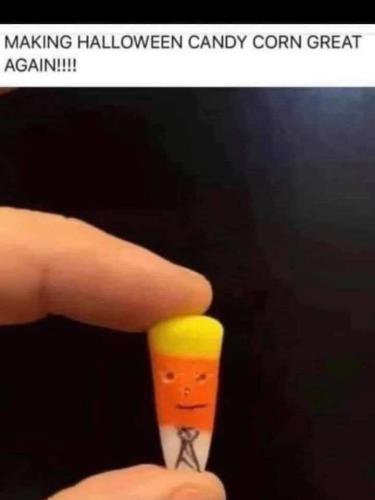 FB_IMG_1635475799939