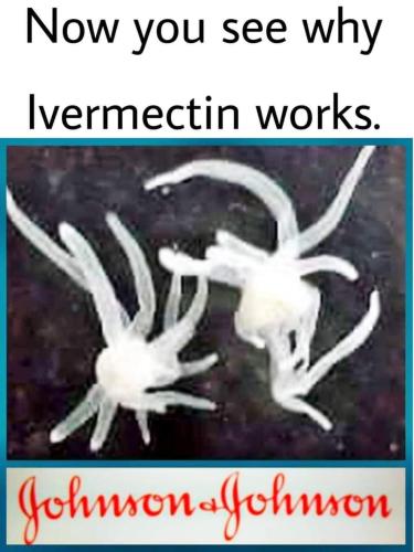 23:44:00 GMT-0500 (CDT)