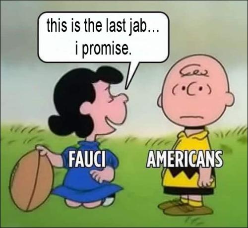 fauci136