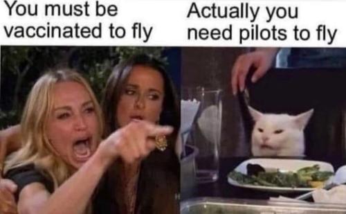 pilots fly cat