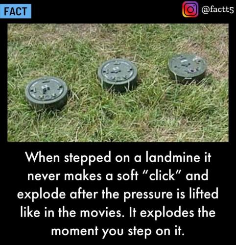 244181848_4469957059720895_2426404855254659646_n