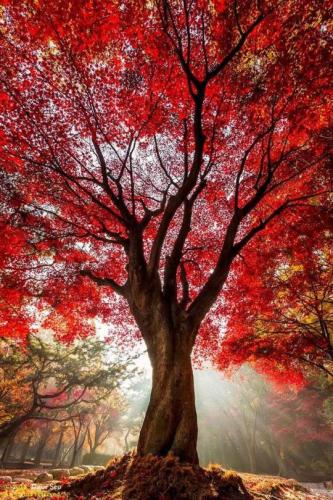 tumblr_piw08apoVS1uzouo7o1_540