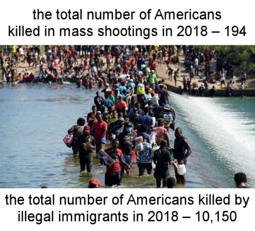 illegal immigration251