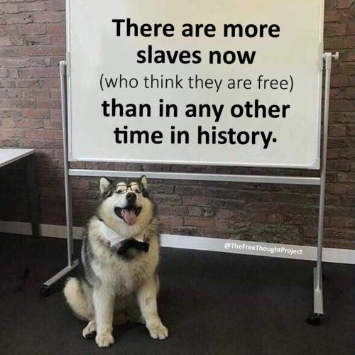 246991612_2654948398145691_8196103335054841756_n