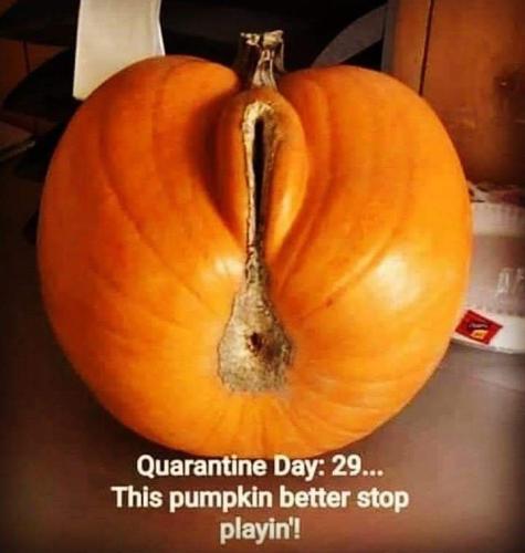 FB_IMG_1635293151493