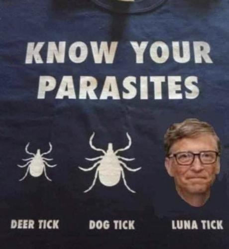 13:54:03 GMT-0500 (CDT).image