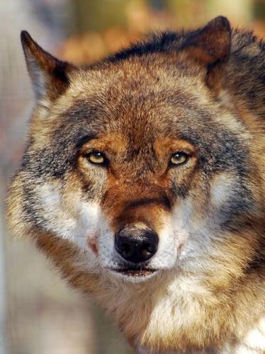 b35ca0768df126f678d62047466eee49