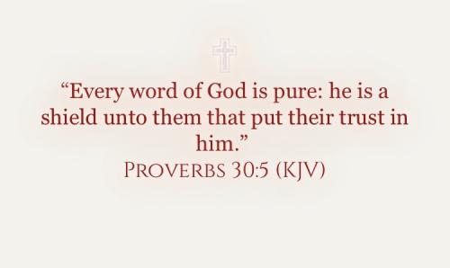 4723D45C-C758-44A5-8D98-0A0402E80693