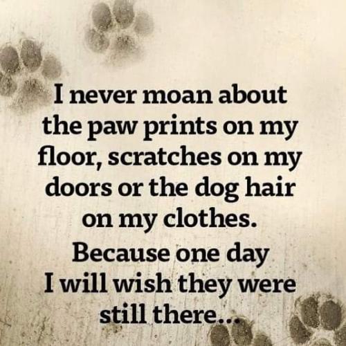 FB_IMG_1617522579978