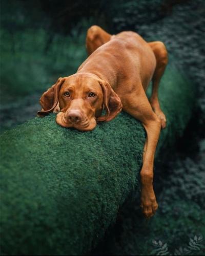 tumblr_07b5a32c37682d5dc395a0999800a2ff_834acd38_540