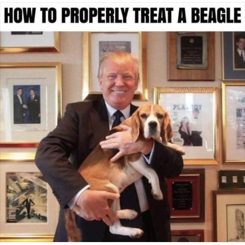 11:16:33 GMT-0400 (EDT).image