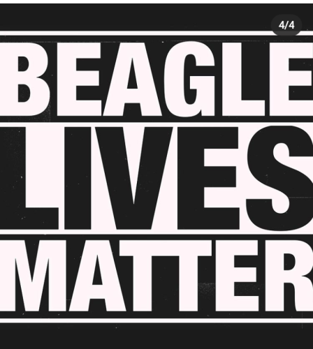 Screenshot_20211024-133335