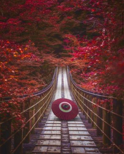 246639171_417556859740322_175420564016492422_n