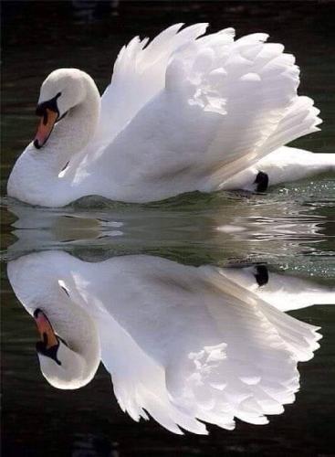 ,                                                                                                                                                                                                                       0   9a