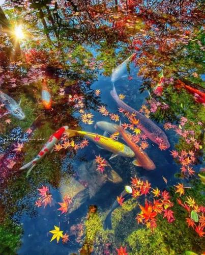 244542453_3056446564626558_8455683003041805579_n