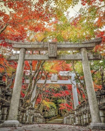 248340101_1265460270637648_5609627005888045438_n