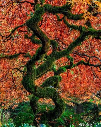 tumblr_6427b0685dbe9187c116e20eac21fb40_e2bd9886_540