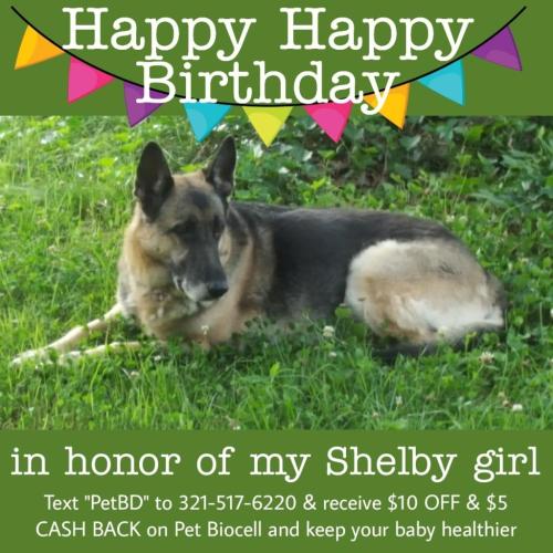 IMG_20211009_210203_584