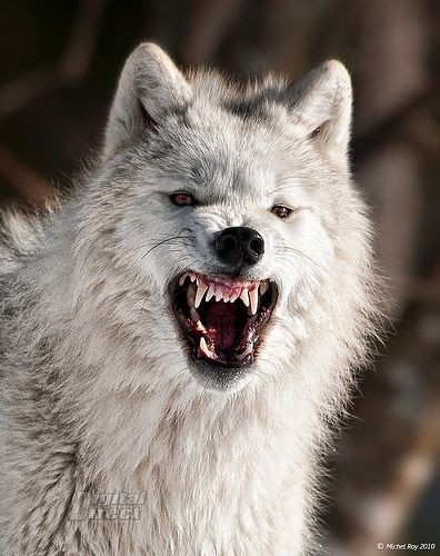 07:32:47 GMT-0500 (CDT)