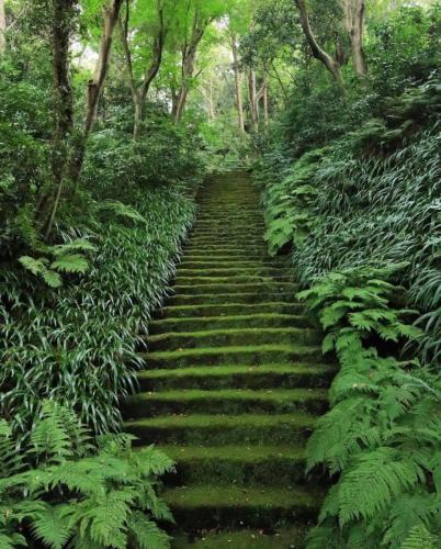 245540962_418260783003263_1868485588451317744_n