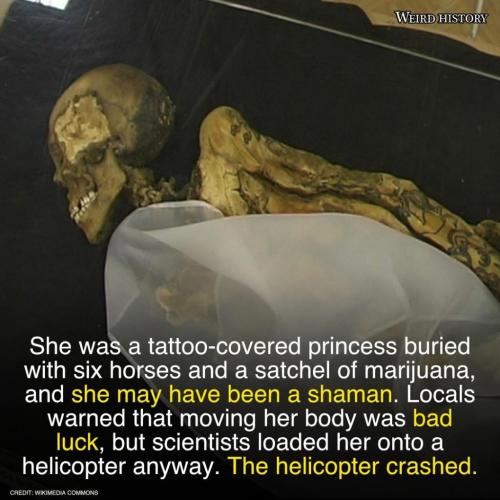 246702026_2350903985065963_121318409470501781_n