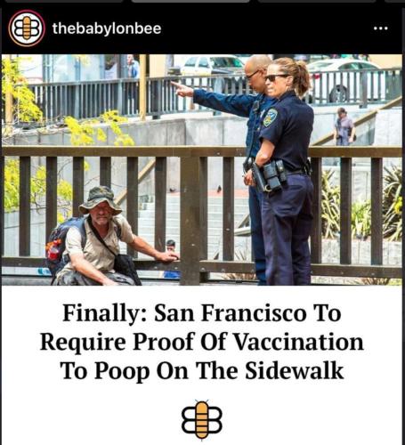 247351093_119032253881506_4405020508271590025_n