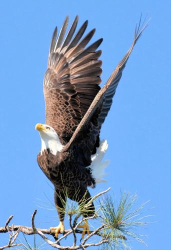 09:17:08 GMT-0500 (CDT)