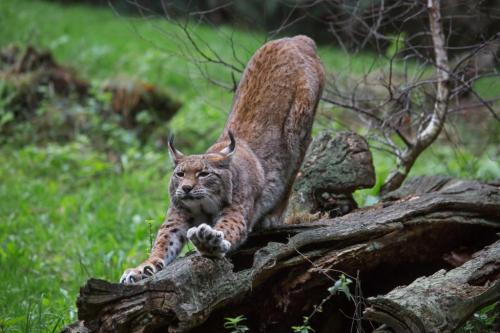 244611494_10158890857943375_4917109015792213256_n