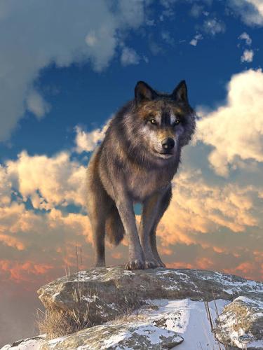 248681495_287116970084575_2122926312595748391_n