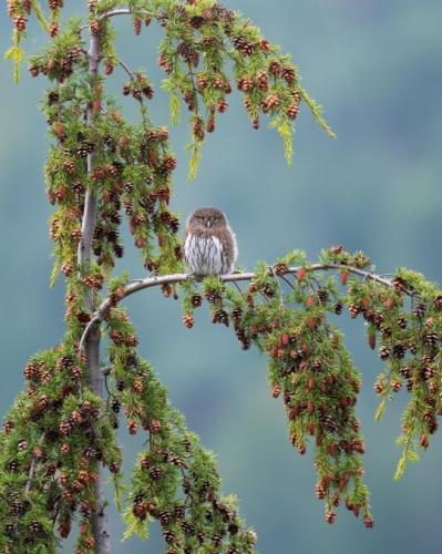 tumblr_99919d2dff3b260bdb25909188608d00_ff59967e_540