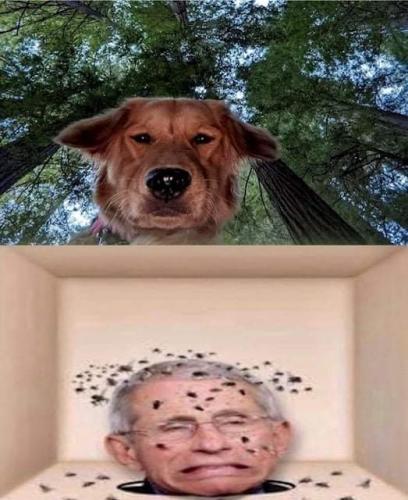 19:49:22 GMT-0500 (CDT).image