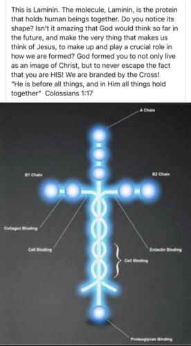 08:12:55 GMT-0500 (CDT).image