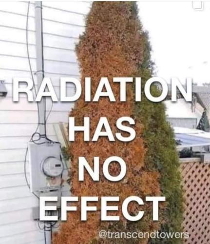 FB_IMG_1635314139363