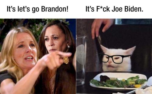 brandon fjb cat