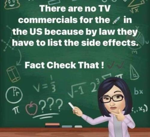 245040941_1716532445212466_4406455804562445761_n