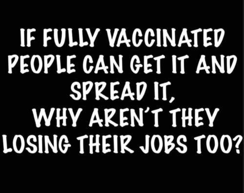 FB_IMG_1632994981035