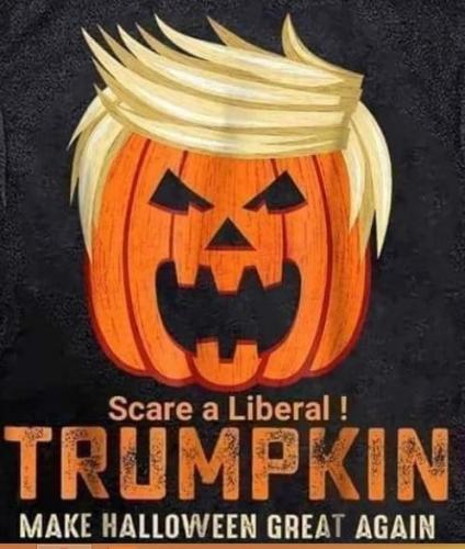 73321223_2422786171123570_2934211688284553216_n