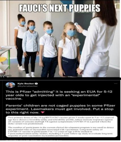 a8810c37fe4030ecac3abb6f4898b820_1024_2