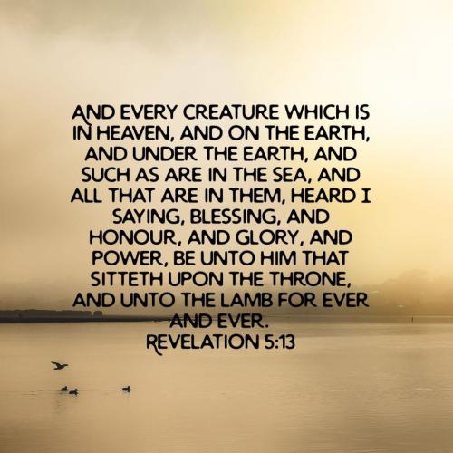 06:05:22 GMT-0400 (EDT)