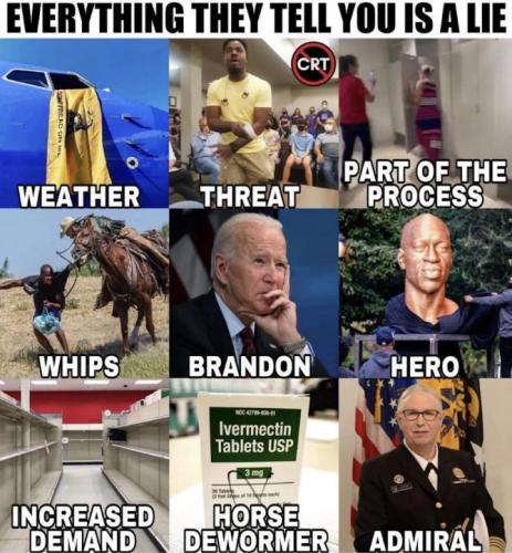 lies22