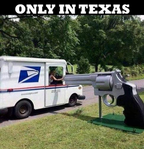 45418631_1755070581283026_1005486908106604544_n (1)