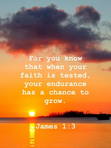 03:57:02 GMT-0400 (EDT)