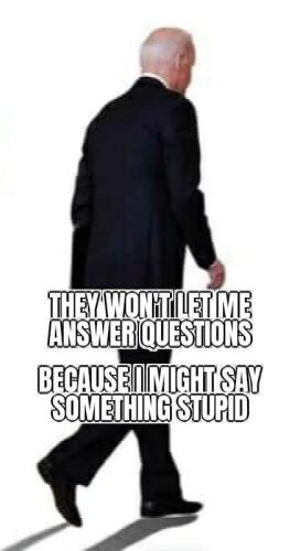 245808781_914179756192237_3737691846887406130_n