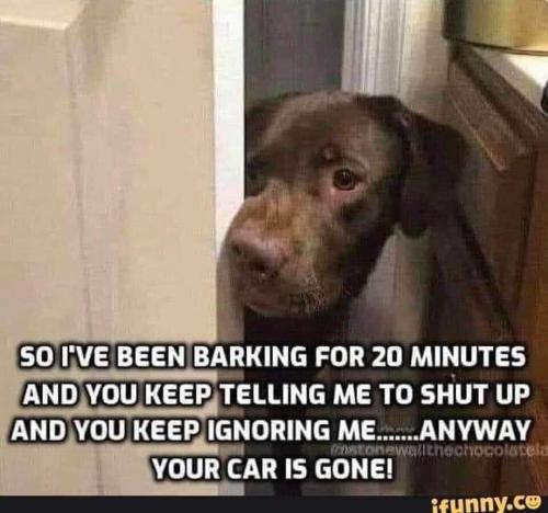 243253668_1290370181428005_449531860302244076_n