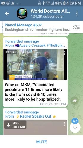 Screenshot_20211007-162914_Telegram