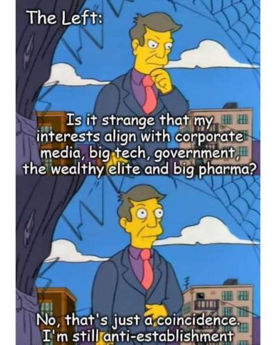 brainwashed_left_ponderings