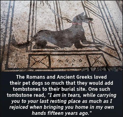 250944671_4448566718525872_7129745945269190728_n