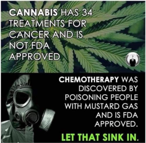 Cannabis Has 34 Treatments For Cancer