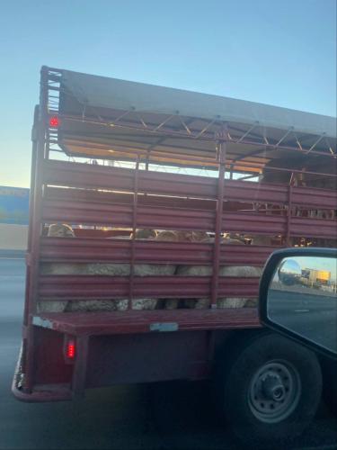 abf904e8-760d-4ad6-8825-5f3c701023b3