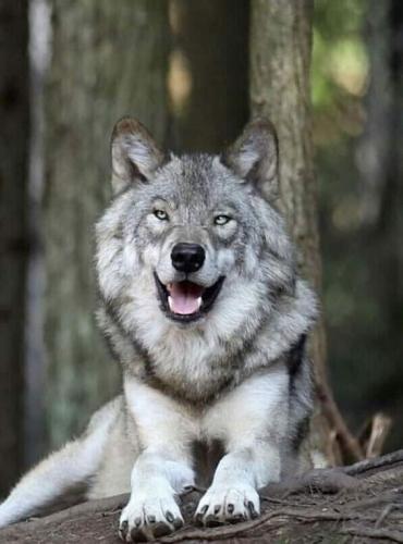 17:19:09 GMT-0500 (CDT)